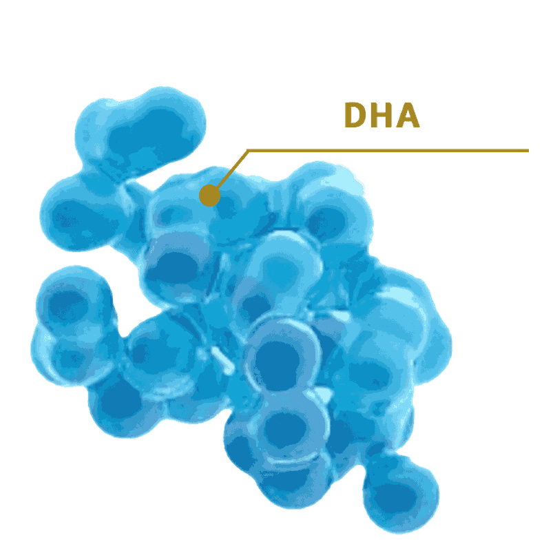 DHA