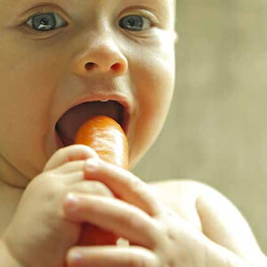 Masticar y morder: ¡el bebé descubre un nuevo universo de sabores!