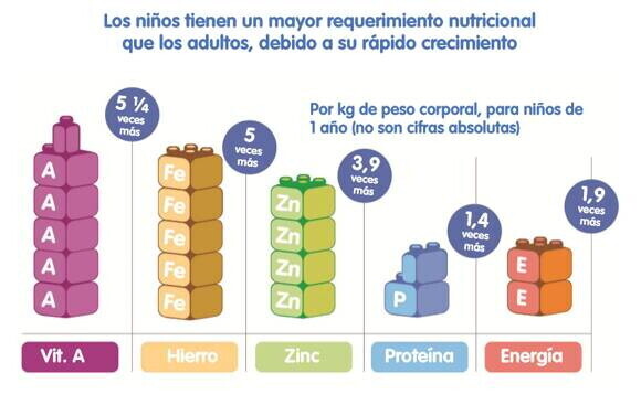 Requerimiento nutricional para niños en vitamina A, Hierro, Zinc, proteína y energía