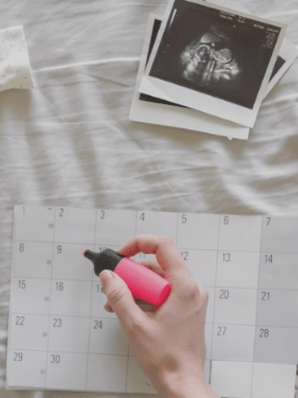 Calendario Semanal de Embarazo